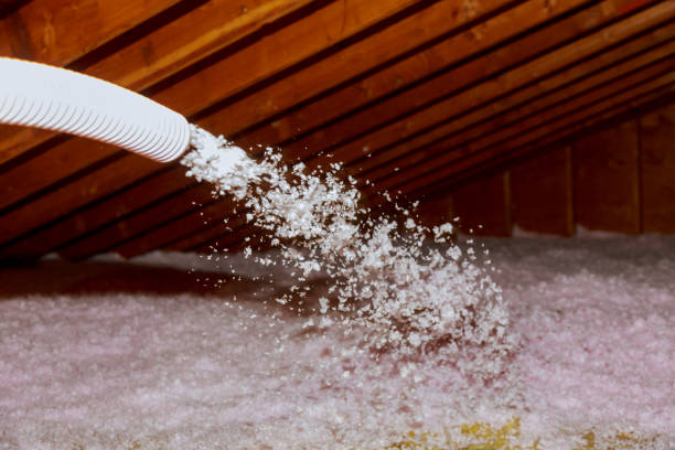 Best Spray Foam Insulation  in Marquette, MI