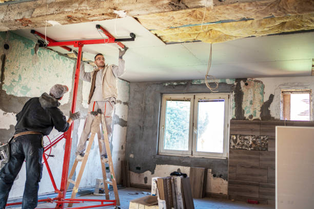 Best Insulation Removal Services  in Marquette, MI