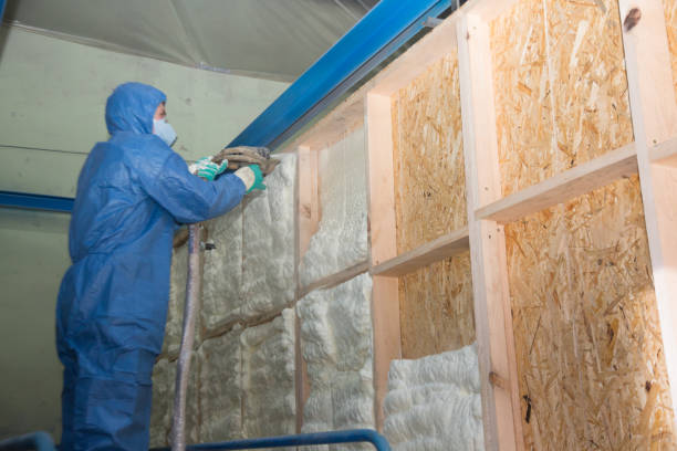 Best Local Insulation Services  in Marquette, MI