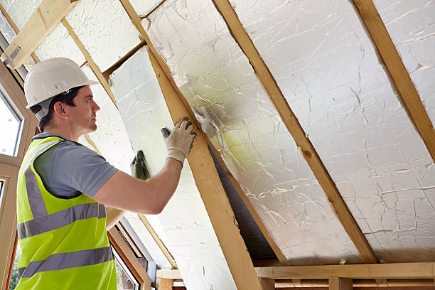 Best Insulation Removal  in Marquette, MI