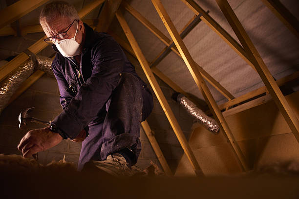Best Insulation Inspection Services  in Marquette, MI